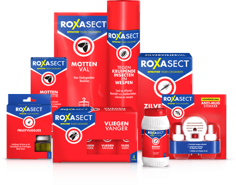 Voorkom <b>Ongedierte!</b>